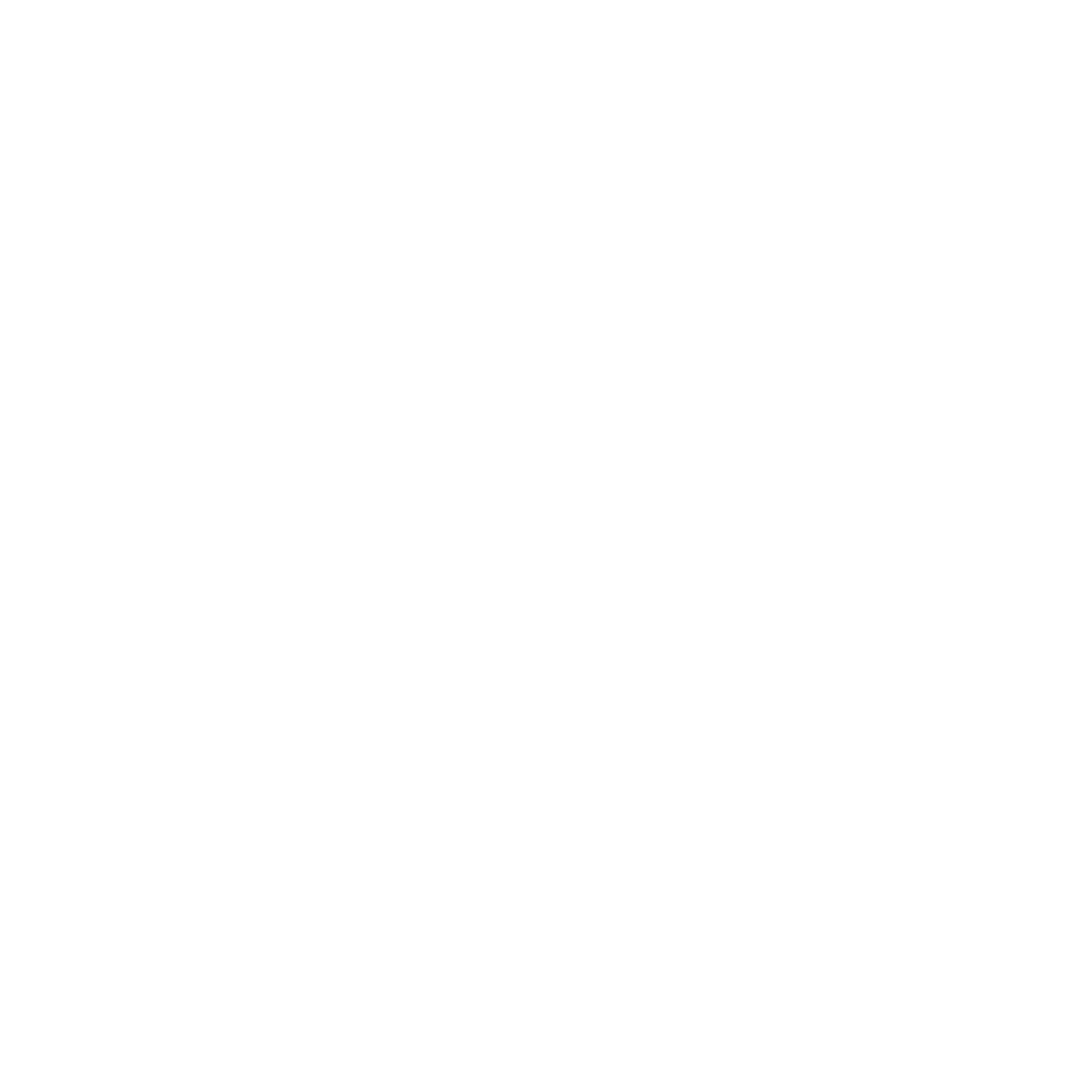 nina;s logo